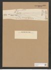 Berkeleya pumila (Ag.) Grun. (de-Toni-Nr.: Genus 21, Species 1214) Zeichnungen Sammlung Grunow Nr. 2336 (NHMW-BOT-W0369465)